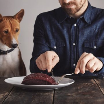 Korzyści płynące z karmienia psów surową wołowiną – przewodnik dla właścicieli zwierząt