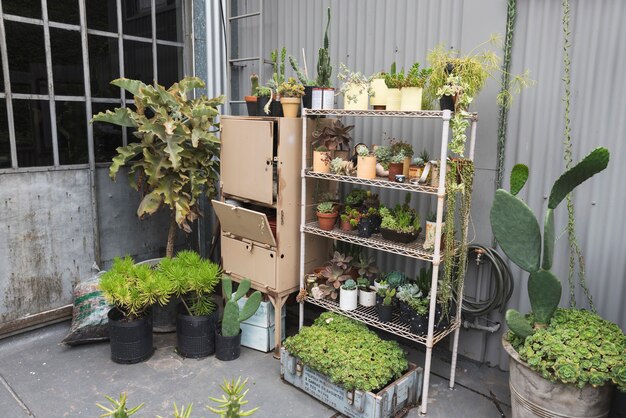 Jakie korzyści niesie za sobą posiadanie piwniczki ogrodowej?