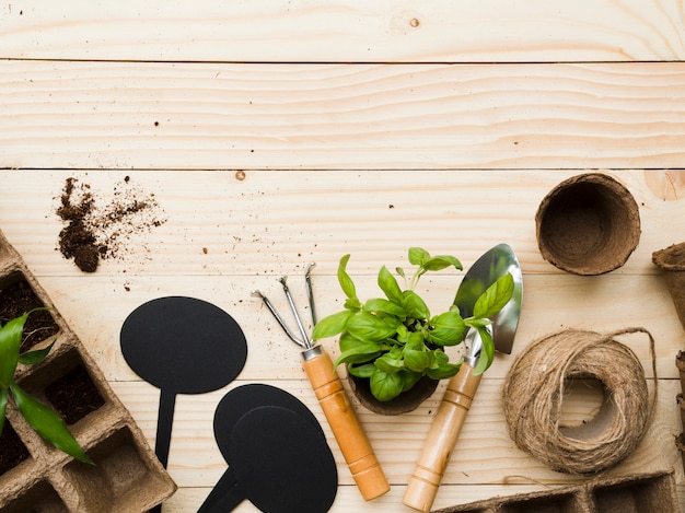 Zrównoważone podejście do pielęgnacji ogrodu: jak wybierać narzędzia przyjazne środowisku